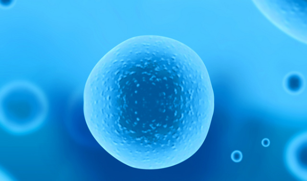 iScience：发现细菌形成膜泡新机制，将助推新疗法和疫苗开发