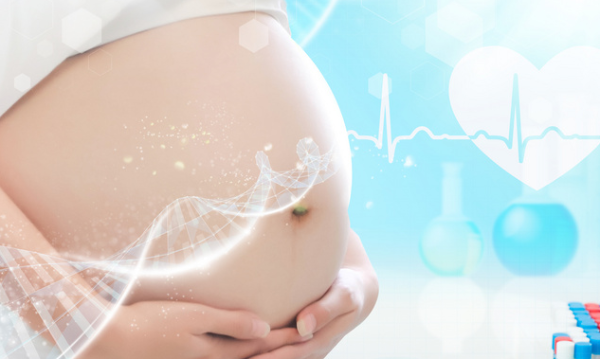 美国《国家科学院院刊》：不用再代孕，治疗20%的KNDy神经元就能恢复生育能力