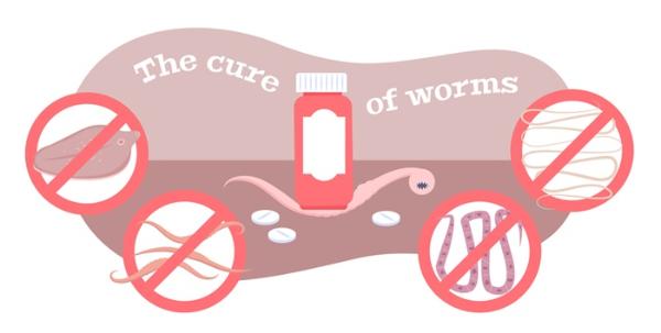 你体内的“虫虫特工队”：科学家认为特定的寄生虫可帮助人类抵抗衰老带来的炎症