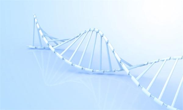 《科学》：先进成像技术成功捕捉到母体基因组的翻译过程