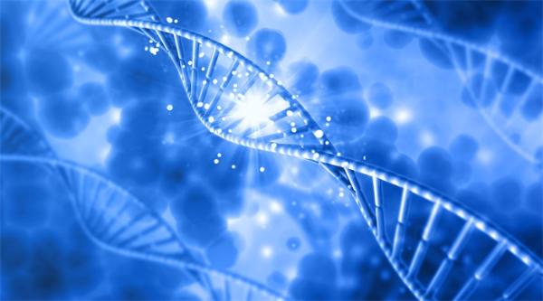 CRISPR还能用编程来跑：科学家成功编辑出可预编程的基因编辑系统