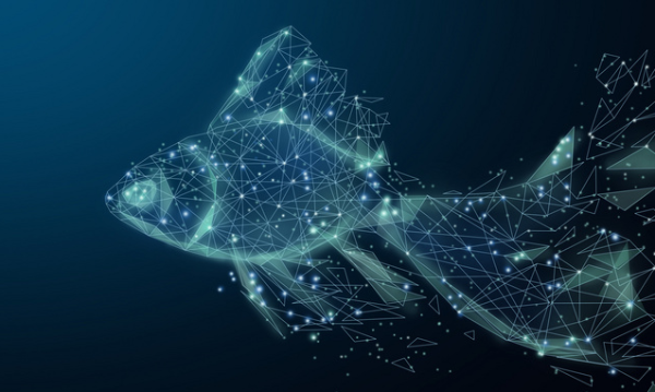 从鱼变成人，我们的基因在进化中到底发生了什么？