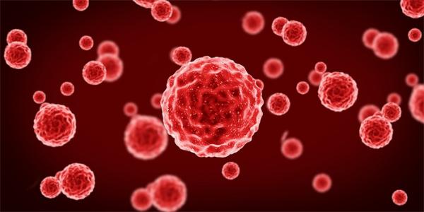 中山大学开发基于mRNA的新型癌症疫苗，表现出显著的抗肿瘤效果