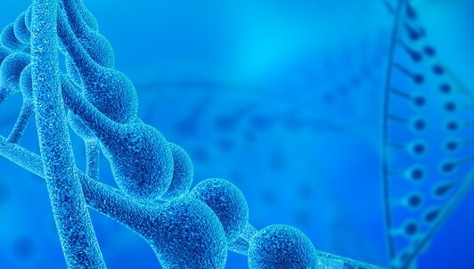 癌症化疗后为何频繁复发？新研究发现癌细胞假装“衰老”逃避化疗