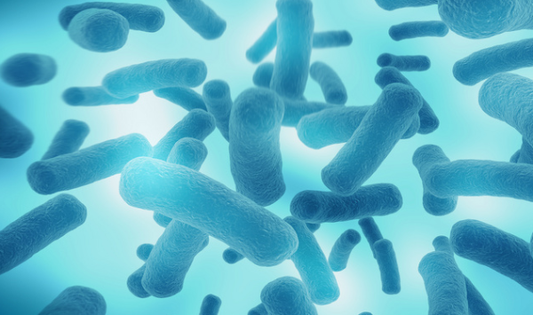 科学家发现“生物洗洁精”：去油能力超强，原油泄漏也能轻松应对