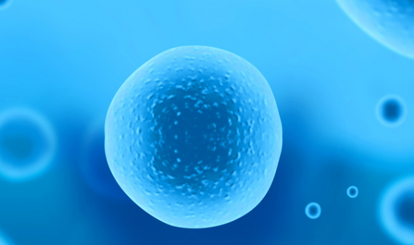 打脸教科书：新研究揭示细胞离子通道机制