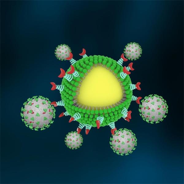 突破变种限制的新冠疗法！科学家开发“纳米陷阱”将新冠病毒扼杀于感染初期