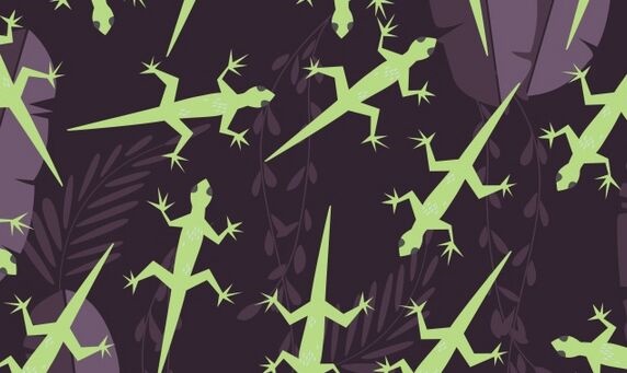 川滇交界处发现分布海拔最高的壁虎新种：个头较小，背上有灰褐色斑纹