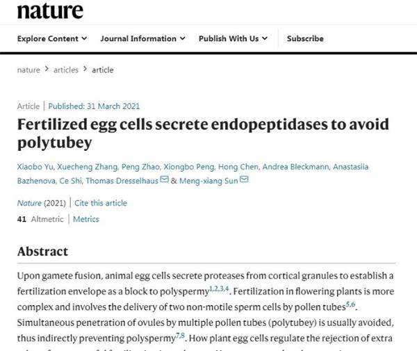 《自然》：武汉大学孙蒙祥团队揭开植物成功受精秘密