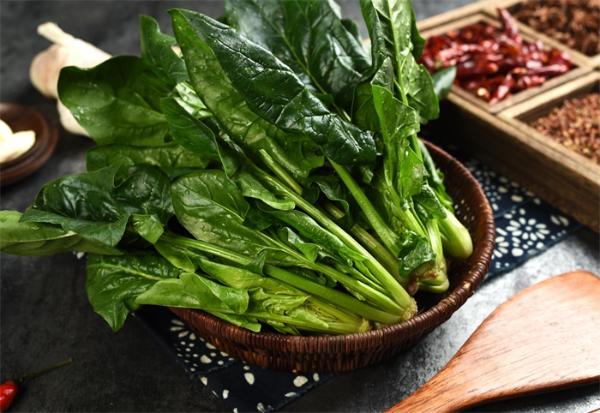 有益！研究表明：菠菜对肠道健康有重大影响，但过量可能会“中毒”