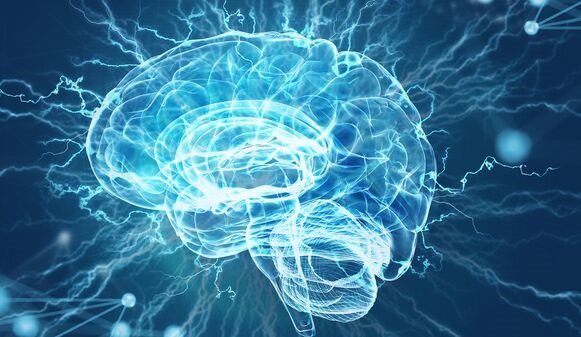 知识不是万能的！上大学能扩大脑容量，但无法减缓大脑萎缩速度
