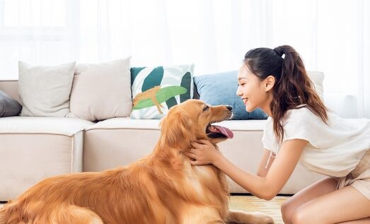 爱笑这件事绝非人类独有，狐狸、狗、海豹等65种动物也会笑！ 