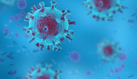 现聚集性感染！法国发现极为罕见新冠变异病毒，为英国突变毒株衍生版