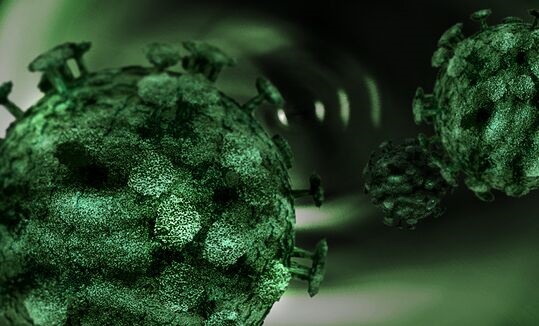 科学家警告：新冠病毒或通过花粉传播 1分钟内穿过20米外人群