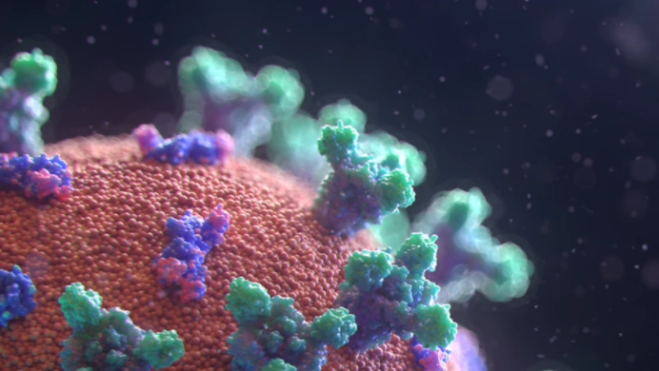 首次！新研究发现新冠病毒破坏肺部原因：两种蛋白结合，触发感染和损伤