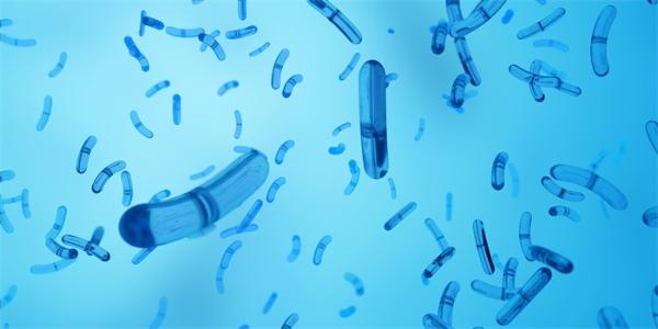 科学家发现一种奇特的人类肠道细菌，或可对抗2型糖尿病、肥胖和炎症