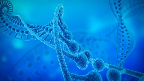 结构生物学家会失业吗？AI仅用几分钟预测蛋白结构近原子水平