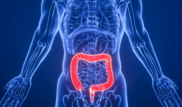 首个临床证据显示：移植瘦子的肠道菌群，可有效改善严重肥胖患者的健康 