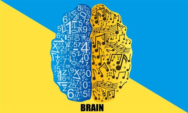 几十年坚信不移的理论可能大错特错！新研究表明大脑处理听觉和语言是并行的