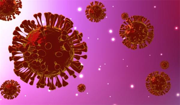 一个突变，人畜共患！研究首次发现：MX1突变会增加人类感染H7N9病毒的风险 
