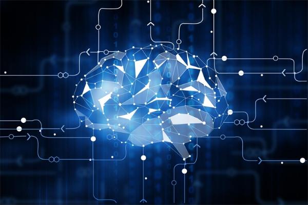 新突破！实验室“迷你大脑”出现显著脑电波，将有助于研究多种脑部疾病