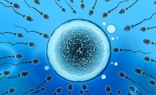 研究：老年男性的精子突变可以遗传给下一代，自闭症和心脏病等风险更高 