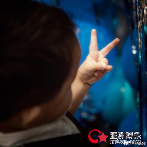 佟丽娅为儿子庆生 朵朵兰花指实力抢镜!