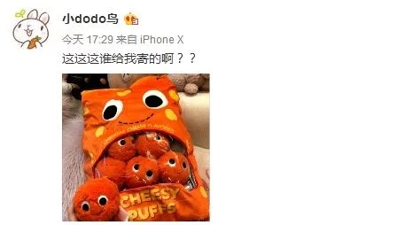 王思聪前女友豆儿不知道谁寄的玩具