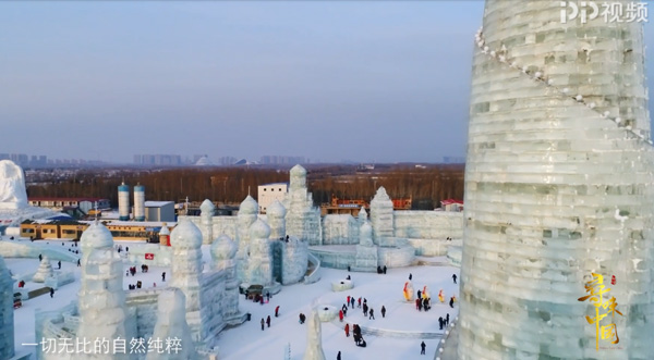 《寻味中国》探寻哈尔滨美食 中俄美女尽享红肠格瓦斯美味