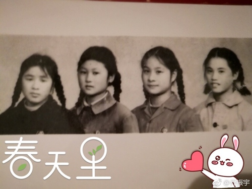 乔振宇晒照感叹 网友赞其一家人颜值逆天！