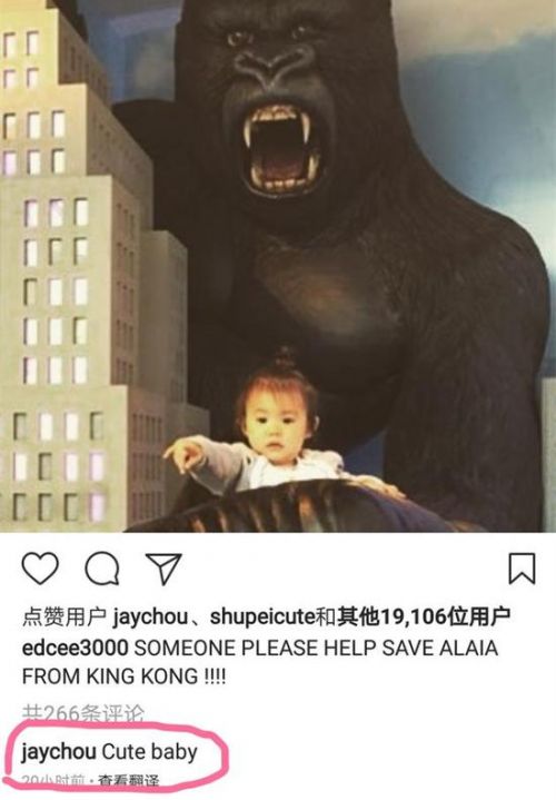 周杰伦点赞陈冠希夸Alaia可爱