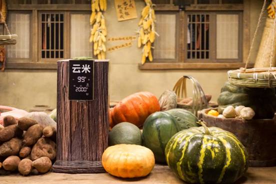 湖南卫视《我是大侦探》开播在即 首期剧透在这里