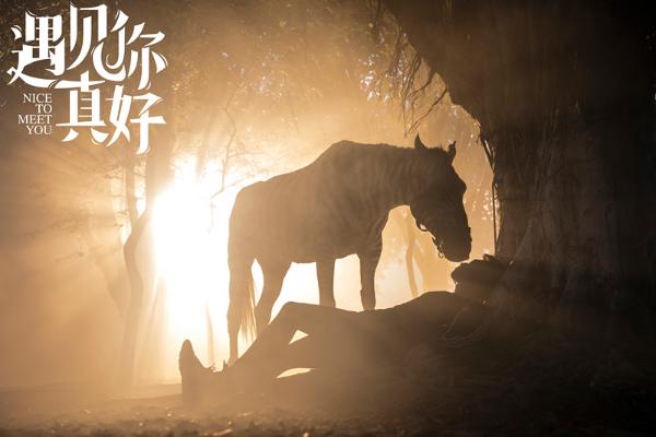 《遇见你真好》上海看片会,张海宇详解“斑马吻”,被赞超敬业