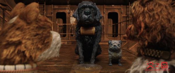 《犬之岛》曝原片片段神秘包裹引发狗狗大战