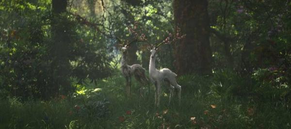 《湮灭》影评：神级烧脑科幻惊悚大片 带你感受天马行空的诡异世界