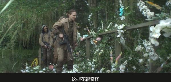 《湮灭》影评：神级烧脑科幻惊悚大片 带你感受天马行空的诡异世界