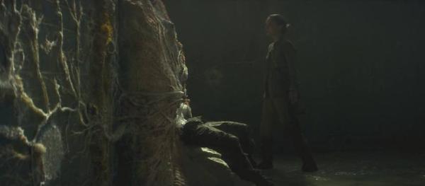 《湮灭》影评：神级烧脑科幻惊悚大片 带你感受天马行空的诡异世界