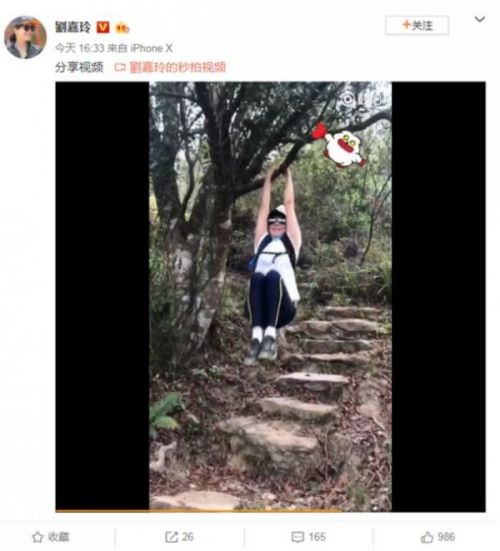 刘嘉玲晒登山视频 挂树上运动引网友热议