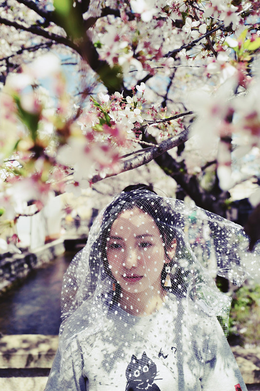 肖雨雨曝唯美樱花写真少女气满满成最美风景
