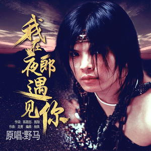 野马演唱歌曲《我在夜郎遇见你》歌词介绍