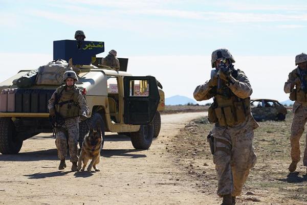 电影《战犬瑞克斯》评论 上演了一段催人泪下的人狗情缘