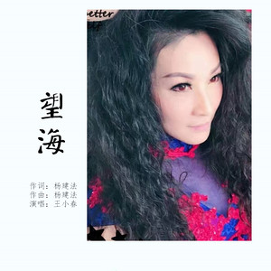 王小春演唱歌曲《望海》歌词介绍
