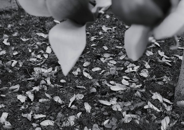 王思潺晒照片 拍照方式调皮搞怪