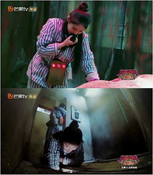 盘点综艺里最耿直的明星 郑爽徐冬冬张艺兴白敬亭