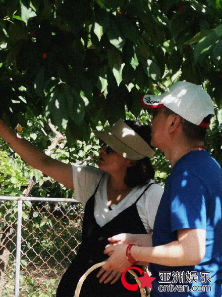 蒋勤勤孕肚明显 与老公陈建斌摘樱桃笑容满面！