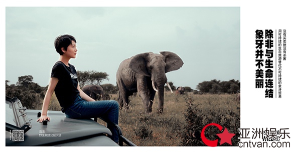 海清担任野生救援公益大使亲赴坦桑尼亚关注大象生态