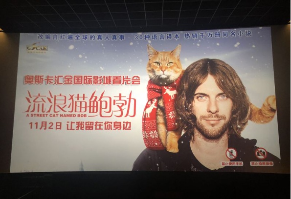 萌宠治愈电影《流浪猫鲍勃》郑州首映 观众看完哭着说“要养猫”