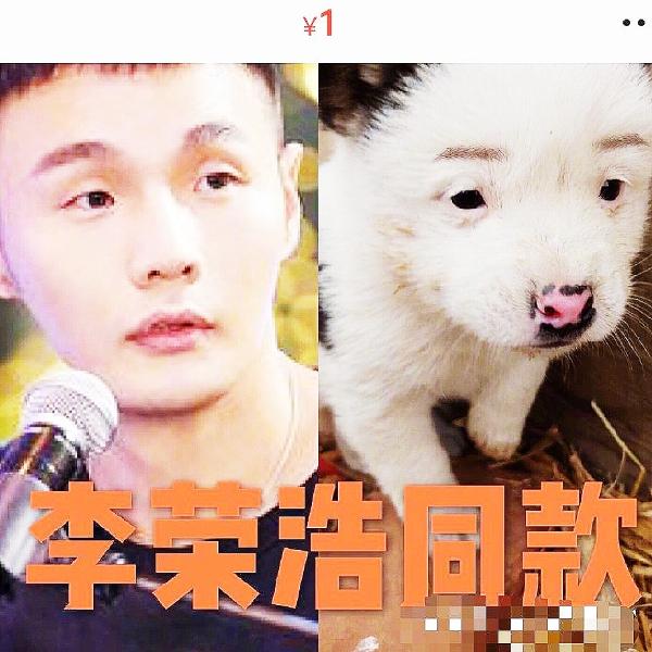 李荣浩同款狗狗卖1块本尊不开心了，李荣浩好听的歌有哪些？