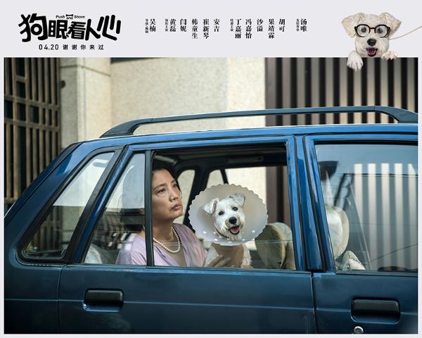 《狗眼看人心》曝复仇版预告 黄磊闫妮为爱犬当英雄