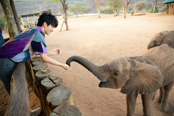 王俊凯肯尼亚写真少年感十足 和小动物互动温柔满分